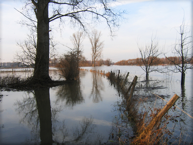 n_09_mk_kbw 2011.jpg